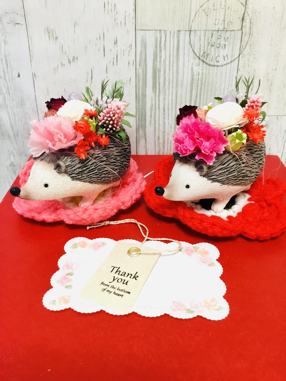 母の日限定カーネーションハリネズミちゃん受注制作✨ 2枚目の画像