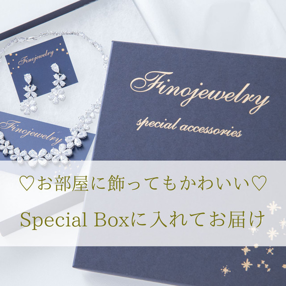 【送料無料・SpcialBox付】P005N014　2点セット 7枚目の画像