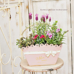 季節の花寄せ植え レースリボン プランター ブリキ ピンク/ベージュ 4枚目の画像