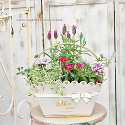 季節の花寄せ植え レースリボン プランター ブリキ ピンク/ベージュ 2枚目の画像