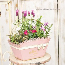季節の花寄せ植え レースリボン プランター ブリキ ピンク/ベージュ 5枚目の画像