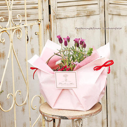 季節の花寄せ植え レースリボン プランター ブリキ ピンク/ベージュ 6枚目の画像