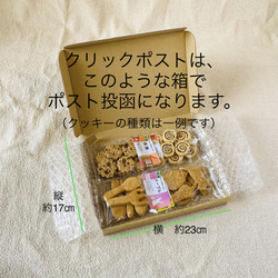 メープルクッキー【卵・乳不使用】厳選素材・アレルギー対応・おやつ、プレゼントに 5枚目の画像