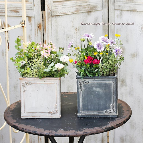 Flower商品です 楽天市場】LOZ ブロック桜盆栽 多肉植物モデル花 置物