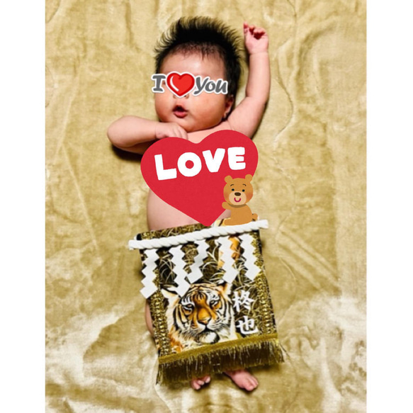 【名入れOK】赤ちゃん化粧まわし「えびすこくん」《勇壮な虎・1》男の子のこどもの日・端午の節句・初節句記念撮影衣装 11枚目の画像