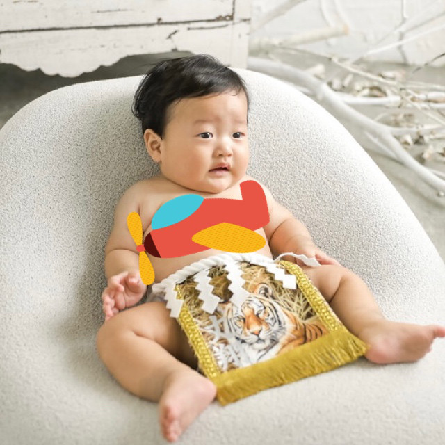 【名入れOK】赤ちゃん化粧まわし「えびすこくん」《勇壮な虎・3》男の子のお宮参り・お食い初め記念衣装撮影