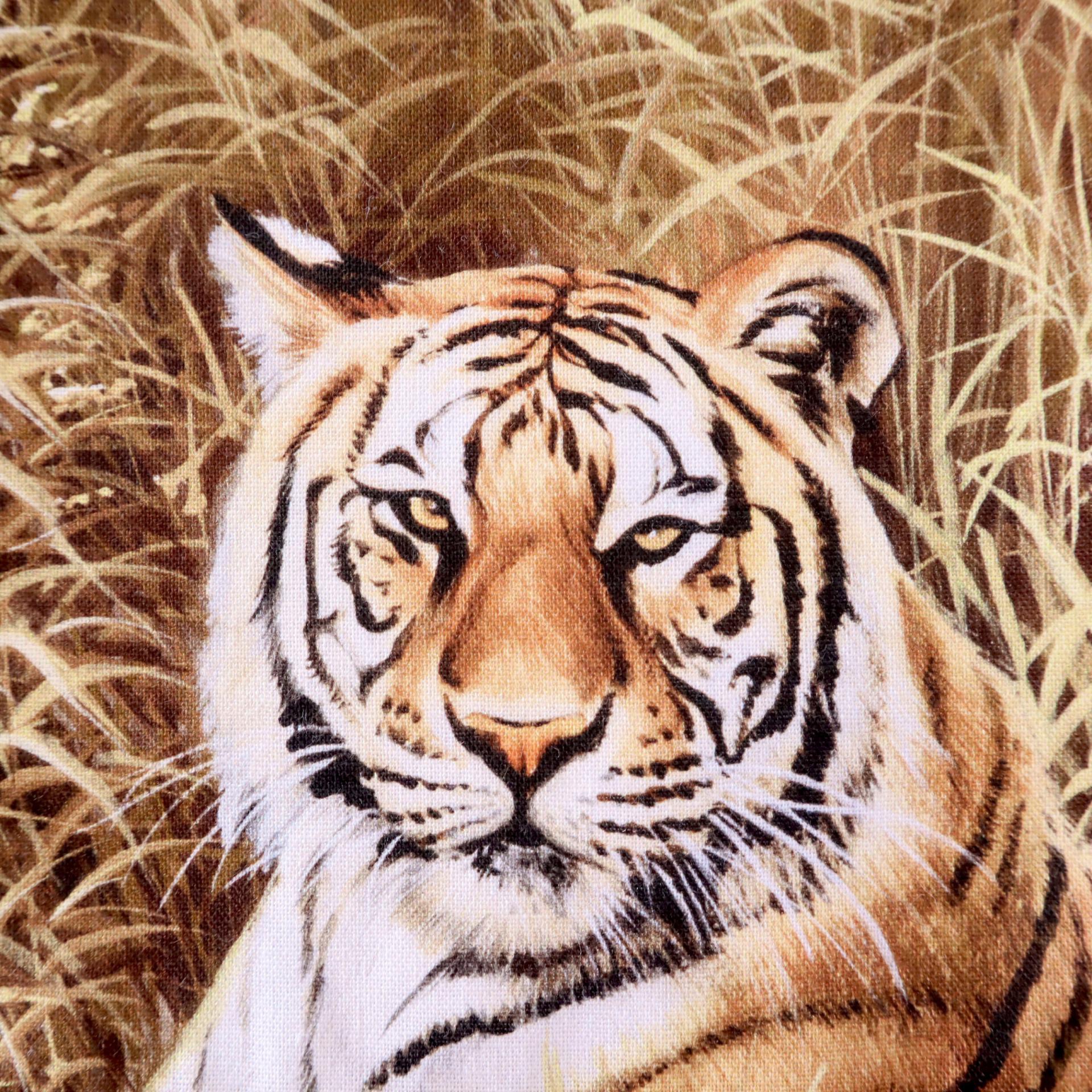 【名入れOK】赤ちゃん化粧まわし「えびすこくん」《勇壮な虎・3》男の子のお宮参り・お食い初め記念衣装撮影