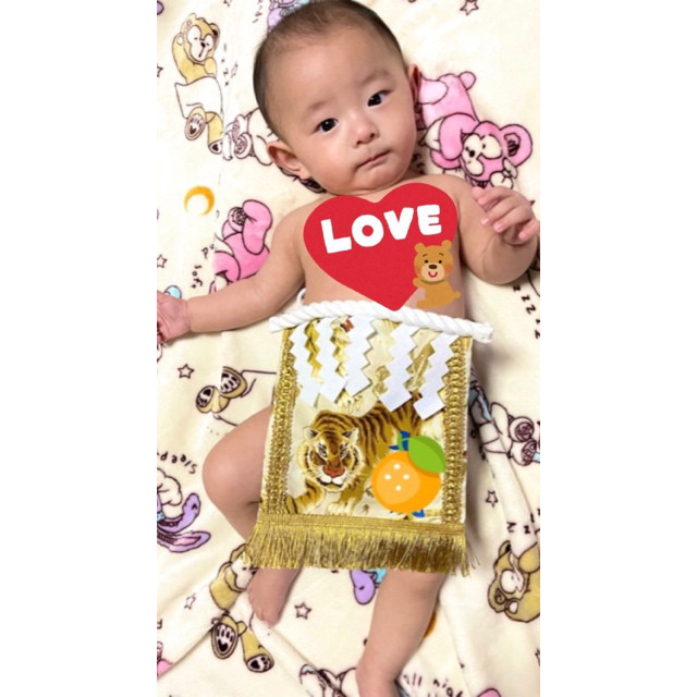 【名入れOK】赤ちゃん化粧まわし「えびすこくん」《金波の虎・白2》甥っ子さん、ご友人の男の子赤ちゃんへの出産祝い 5,023円