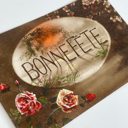 古董明信片套裝 3 朵花（玫瑰）| 法國 第4張的照片