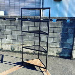 ボタニカルシェルフ 1段 植物棚 アイアンシェルフ 家具 棚 多肉植物