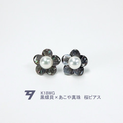 【桜パールピアス】K18ホワイトゴールド 黒蝶貝&アコヤ真珠 1枚目の画像