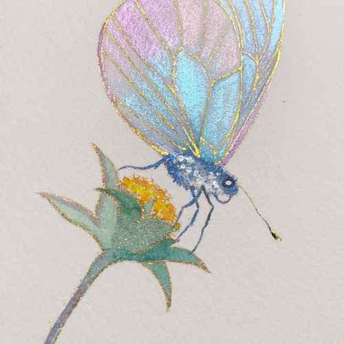 水彩画(虹ます)№135 水彩画(虹ます)№135