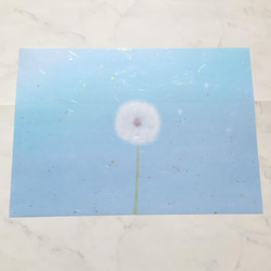 和紙A4サイズ　5種セット　かわいい　デザイン　ペーパー　おしゃれ　金箔　キレイ　紙モノ　 7枚目の画像