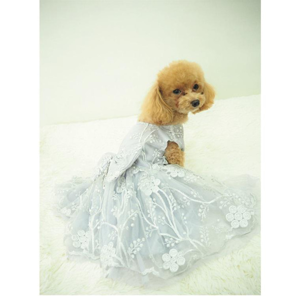 ドレス dress ウェディング パーティー ドックウェア 犬 猫 服 犬服 犬の服  YD6 YD7 3枚目の画像