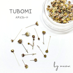 TUBOMI　Aチョコレート　かすみ草　ドライフラワー  蕾　ブラウン　茶系　花材 1枚目の画像