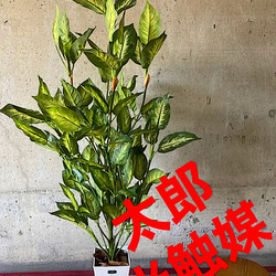 光触媒 人工観葉植物 ウォールグリーン フェイクグリーン ウッド