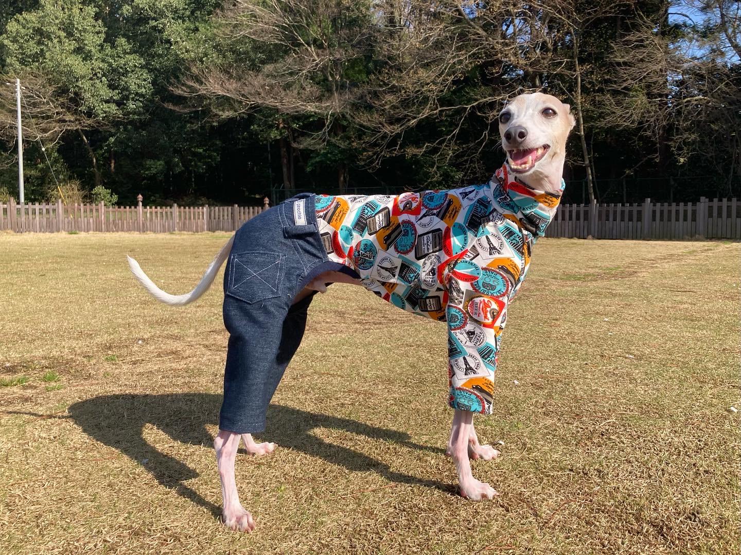 コトリページ　イタグレ服　ハンドメイド