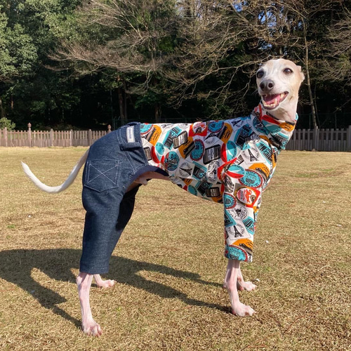 イタグレ服 ハンドメイド チェック×デニムロンパース