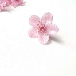 ［ さくら様専用 ］新色Sakura pink本物の桜 ソメイヨシノ/ポニーフック・イヤリング 5枚目の画像