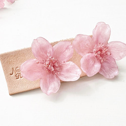 ［ さくら様専用 ］新色Sakura pink本物の桜 ソメイヨシノ/ポニーフック・イヤリング 1枚目の画像
