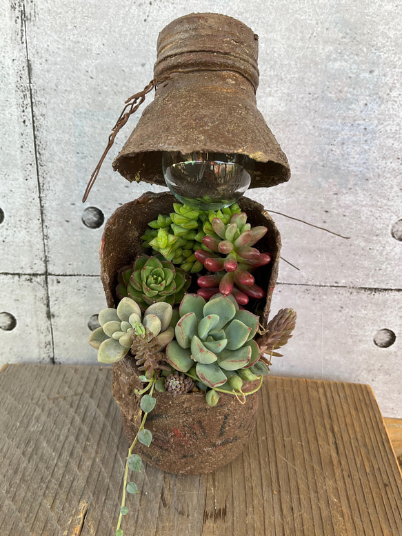 リメイク缶a-39☆多肉植物☆寄せ植え☆インテリア リメイク缶a-39☆多肉植物☆寄せ植え☆インテリア リメ缶バッグ