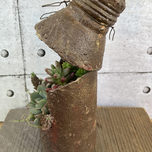 錆風リメイク缶の多肉寄せ植え 多肉植物 osh25plant 通販