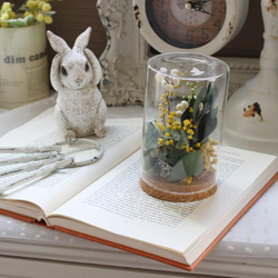 タニクグリーンアップル！？ 青りんごと多肉植物 フェイクグリーン