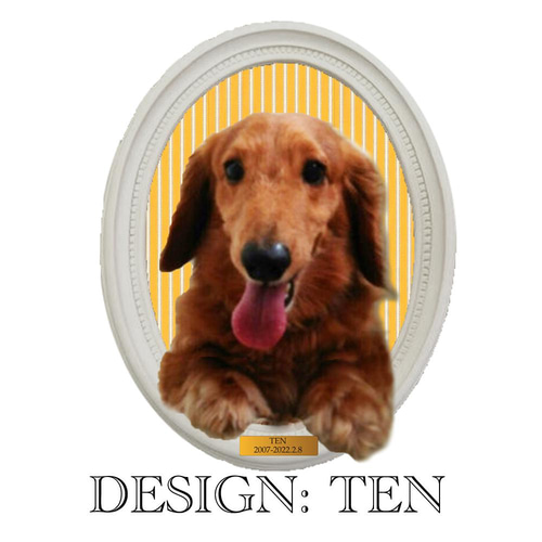 かほーさま専用 羊毛フェルト 額飾り ミニチュアダックスフンド 羊毛フェルト フレーム オーダー 参考用 ミニチュアダックス 犬