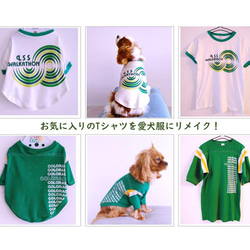 【オンリーワンのドッグウェア】Tシャツをリメイクして愛犬のための犬服を製作 1枚目の画像