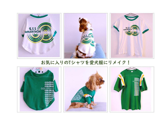 【オンリーワンのドッグウェア】Tシャツをリメイクして愛犬のための犬服を製作 1枚目の画像