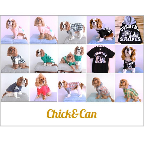 オンリーワンのドッグウェア】Tシャツをリメイクして愛犬のための犬服