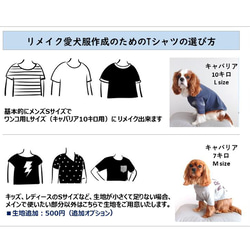 【オンリーワンのドッグウェア】Tシャツをリメイクして愛犬のための犬服を製作 8枚目の画像