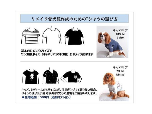 【オンリーワンのドッグウェア】Tシャツをリメイクして愛犬のための犬服を製作 8枚目の画像