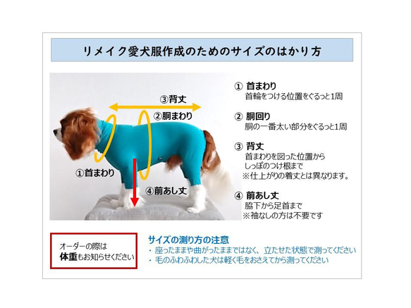 【オンリーワンのドッグウェア】Tシャツをリメイクして愛犬のための犬服を製作 7枚目の画像