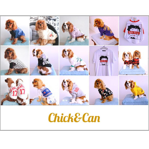 オンリーワンのドッグウェア】Tシャツをリメイクして愛犬のための犬服