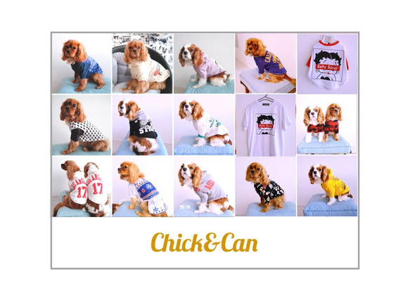 【オンリーワンのドッグウェア】Tシャツをリメイクして愛犬のための犬服を製作 10枚目の画像