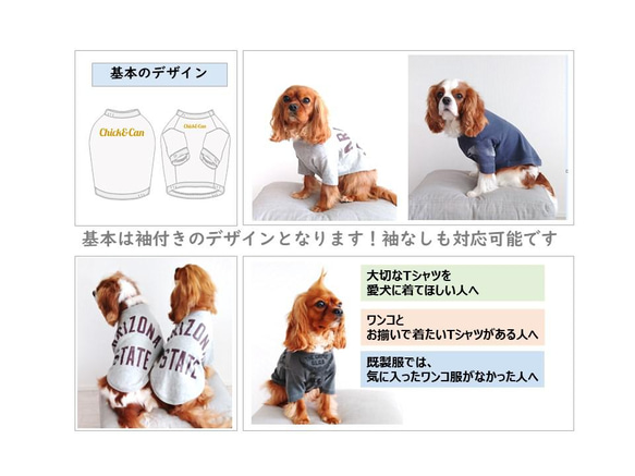 【オンリーワンのドッグウェア】Tシャツをリメイクして愛犬のための犬服を製作 3枚目の画像