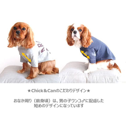 【オンリーワンのドッグウェア】Tシャツをリメイクして愛犬のための犬服を製作 5枚目の画像