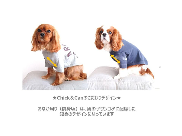 【オンリーワンのドッグウェア】Tシャツをリメイクして愛犬のための犬服を製作 5枚目の画像