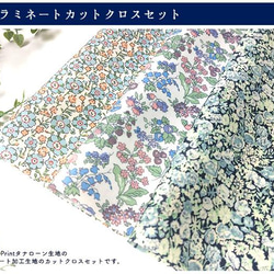 リバティ【ラミネートセット】ペールブルー系01　カットクロス　３種類　カット済（約30ｃｍ×50ｃｍ）ビニコ　生地 4枚目の画像