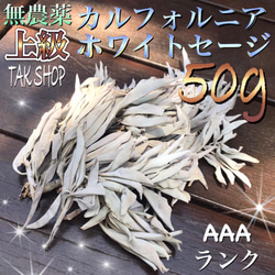 新入荷✴︎上級✴︎カルフォルニアホワイトセージ 50g✴︎プレゼント付き 1枚目の画像