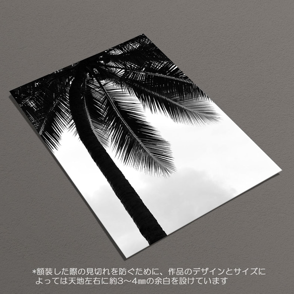 ☆インテリアフォトポスター -PALM TREE-【107】 6枚目の画像