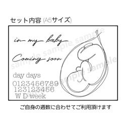 新作【in baby】マタニティ タトゥーシール 2枚目の画像