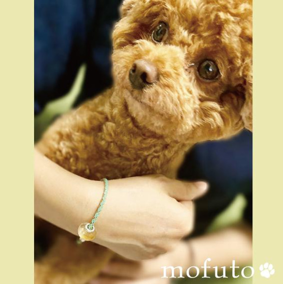 ペットの毛から作るジュエリー犬 猫 うちの子オーダー　毛玉ジュエリービーズ        Ω 人気・おすすめ｜使いやすい・旅行におすすめ 品質保証 全国発送 正規品・日本国内発送・安心保証付き