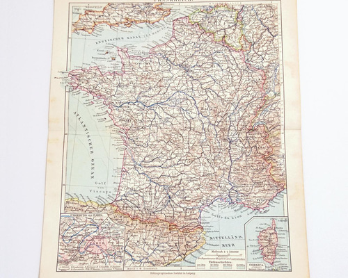 マイヤー百科事典　アンティーク図版　リトグラフ　トロピカルフルーツ　ドイツ　額付 マイヤー百科事典 アンティーク図版 リトグラフ トロピカルフルーツ