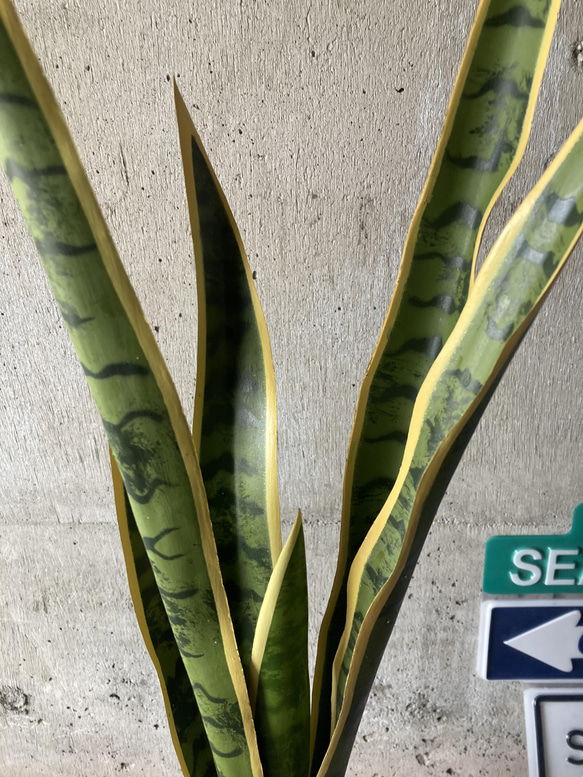 光触媒　人工観葉植物　ウォールグリーン　フェイク　フラワー　サンスベリア 4枚目の画像