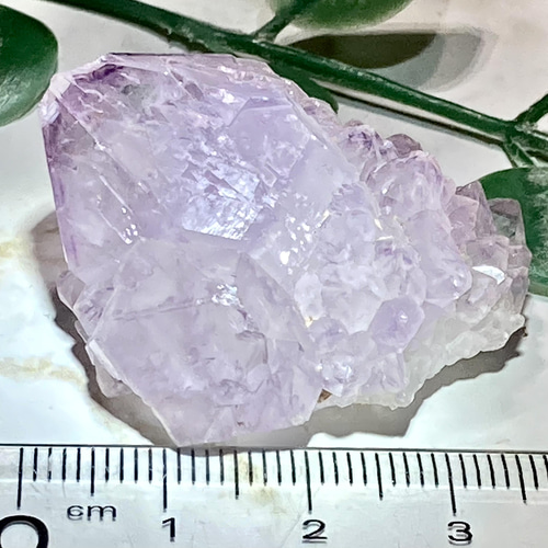 トライゴーニック˚✧₊⁎ 虹入り カクタスアメジスト サボテン水晶 ラフ 