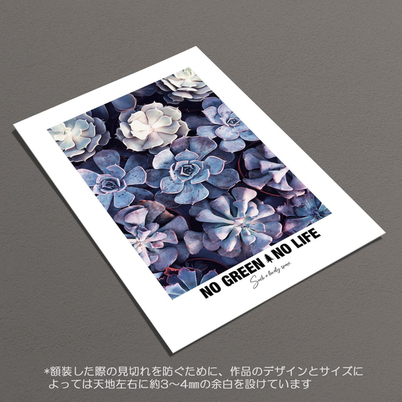 ☆インテリアフォトポスター -SUCCULENT-【134】 6枚目の画像