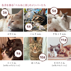66%OFF 癒しの卓上カレンダー 2024年 コンパクト 猫 ねこ 月間 日本製（CALE1）【5～20日以内発送】 5枚目の画像