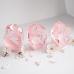 桜花石 Cherry blossom's Epoxite 2025年開花東京産のソメイヨシノを使用 2枚目の画像